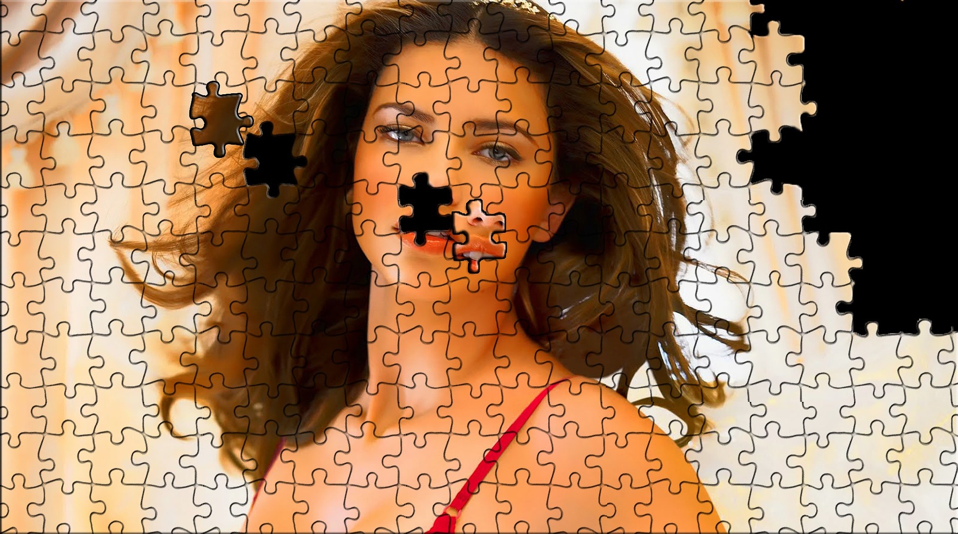 Puzzel laten maken 500 stukjes