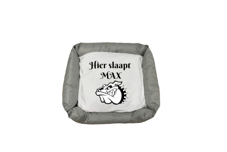 maxxie